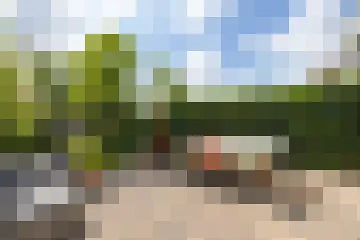 Molenlaan 158 Rotterdam thumbnail 39