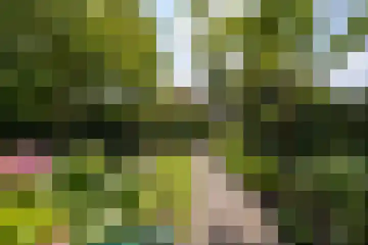 Molenlaan 158 Rotterdam thumbnail 41