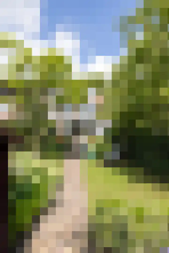 Molenlaan 158 Rotterdam thumbnail 42