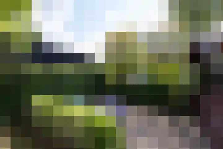 Molenlaan 158 Rotterdam thumbnail 43