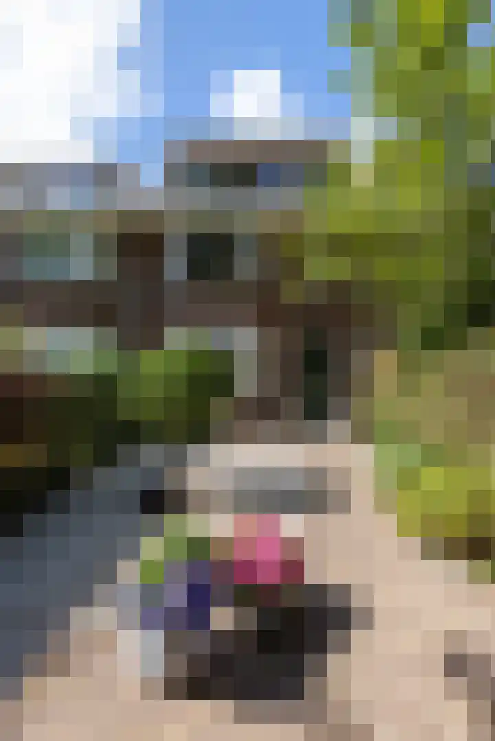 Molenlaan 158 Rotterdam thumbnail 45