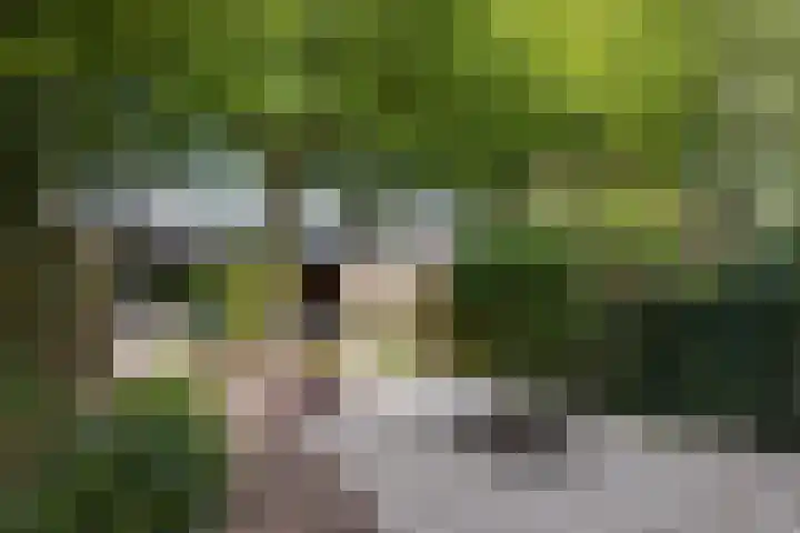 Molenlaan 158 Rotterdam thumbnail 47