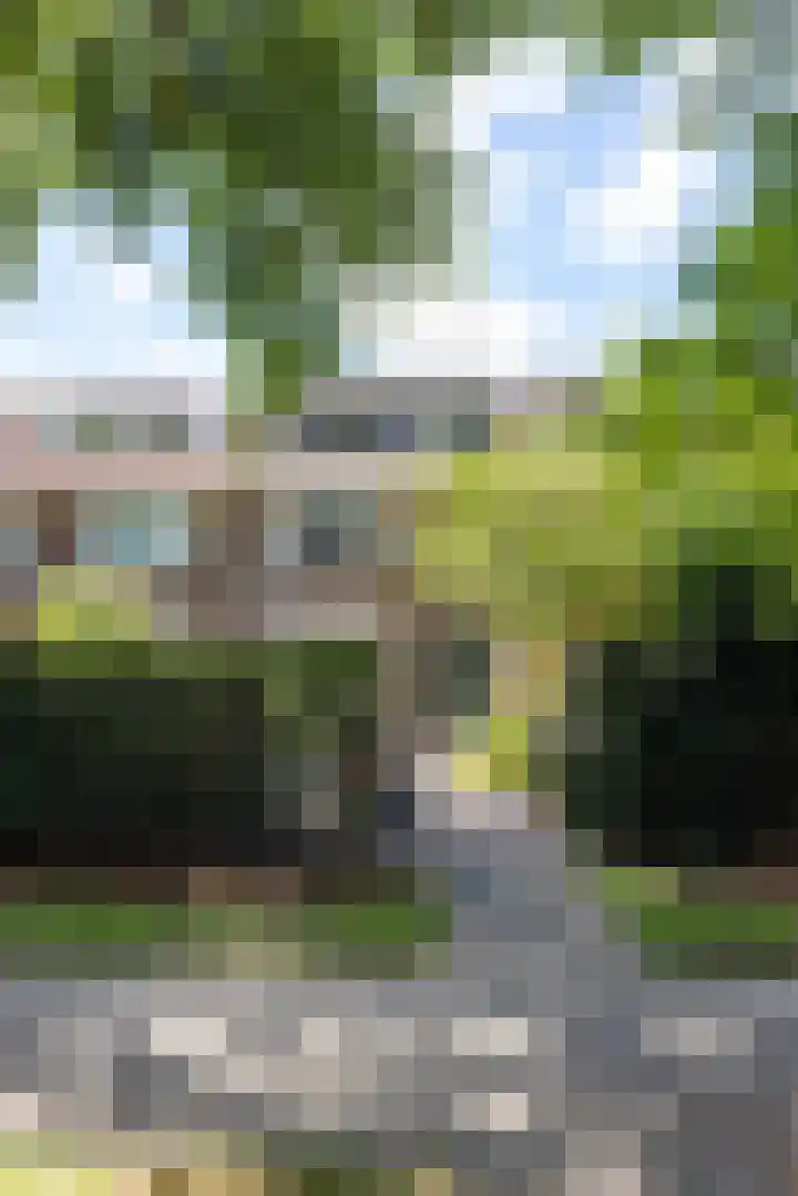 Molenlaan 158 Rotterdam thumbnail 48