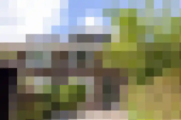 Molenlaan 158 Rotterdam thumbnail 5