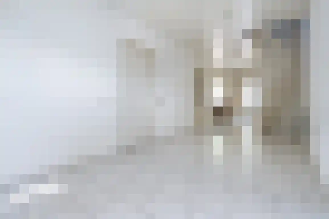 Molenlaan 16 Sommelsdijk thumbnail 10