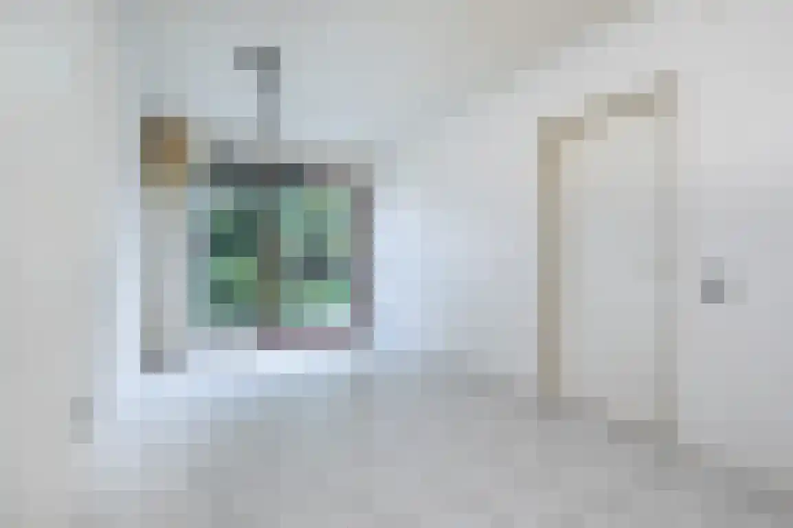 Molenlaan 16 Sommelsdijk thumbnail 11