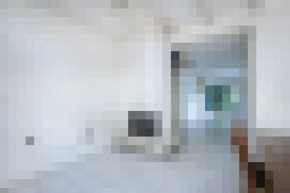 Molenlaan 16 Sommelsdijk thumbnail 12