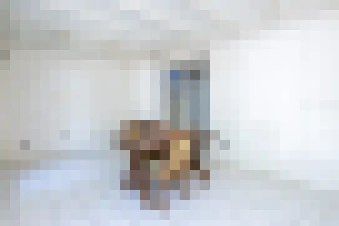 Molenlaan 16 Sommelsdijk thumbnail 13
