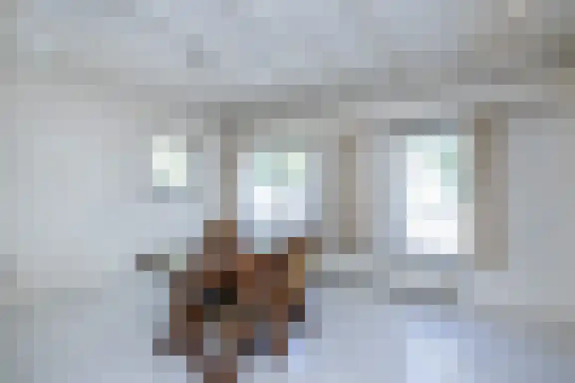 Molenlaan 16 Sommelsdijk thumbnail 14