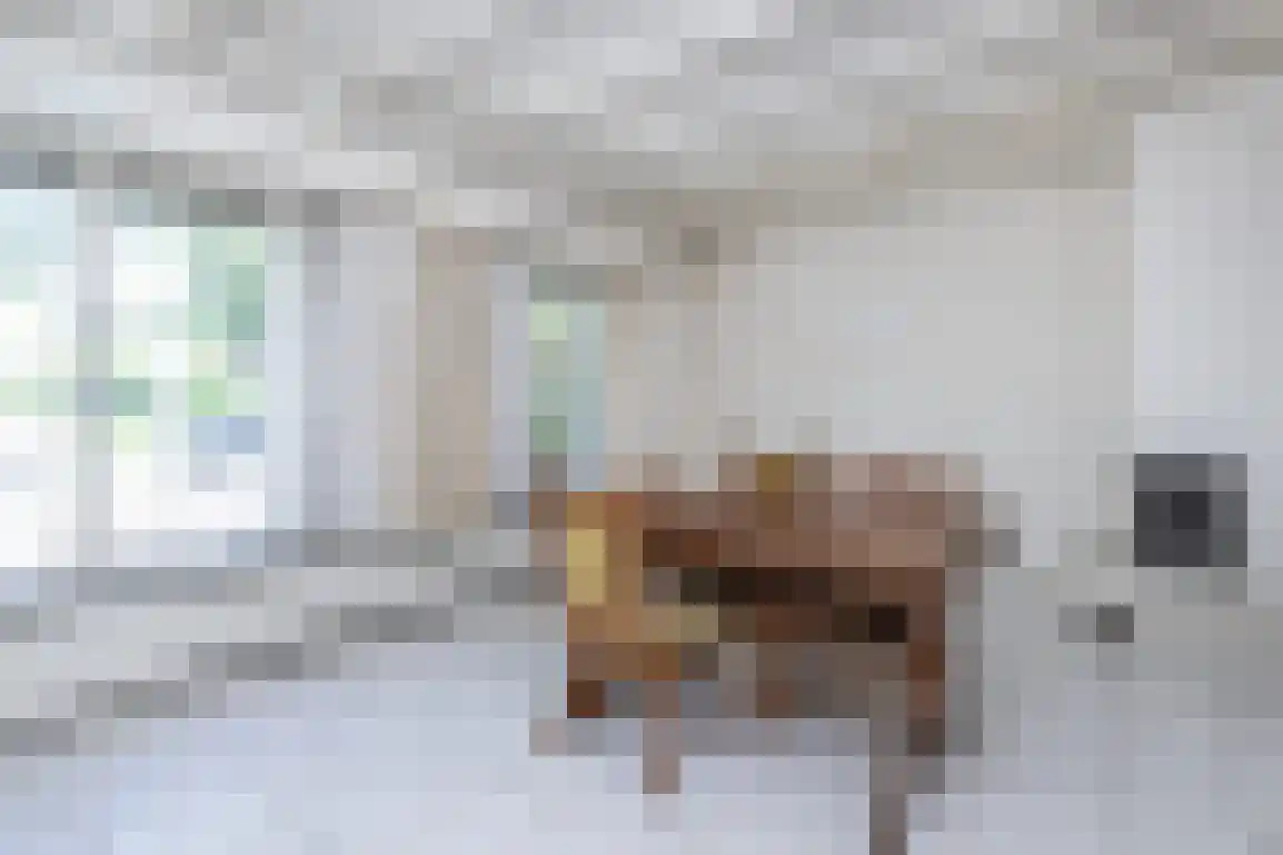 Molenlaan 16 Sommelsdijk thumbnail 15