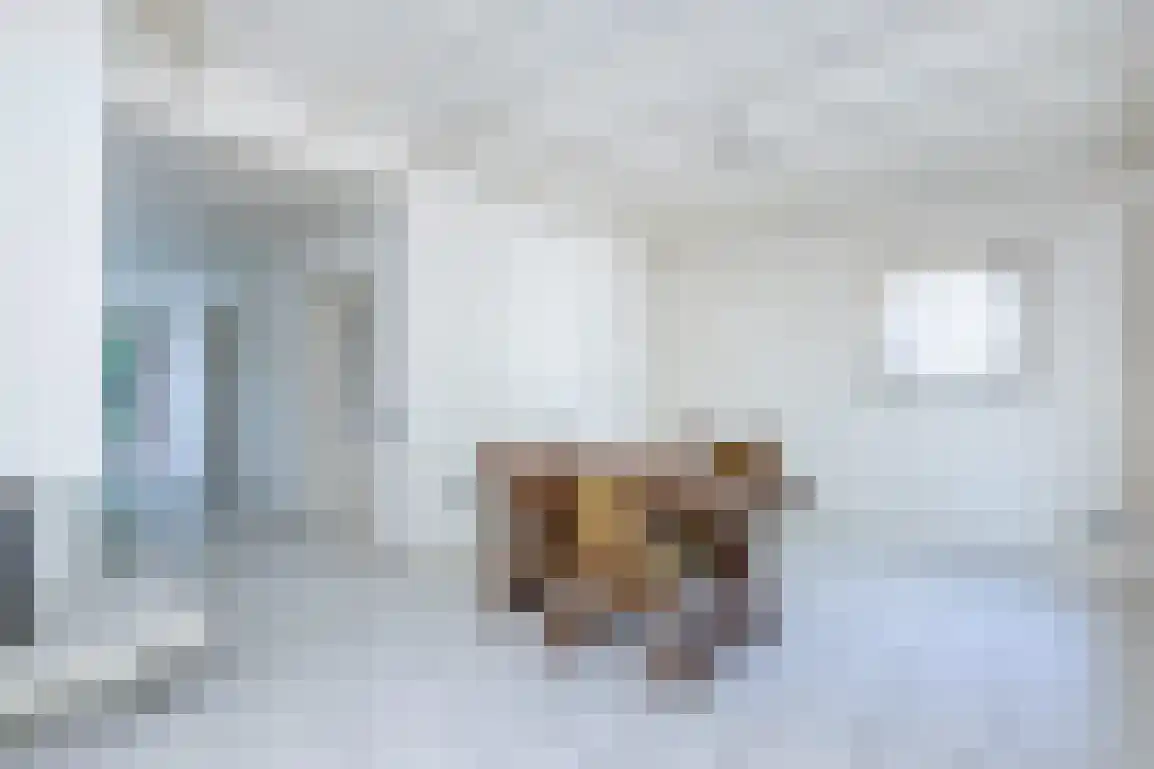 Molenlaan 16 Sommelsdijk thumbnail 16