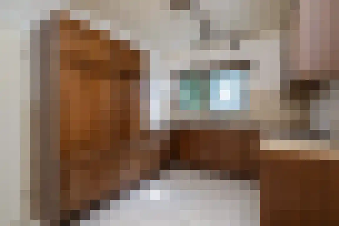 Molenlaan 16 Sommelsdijk thumbnail 17