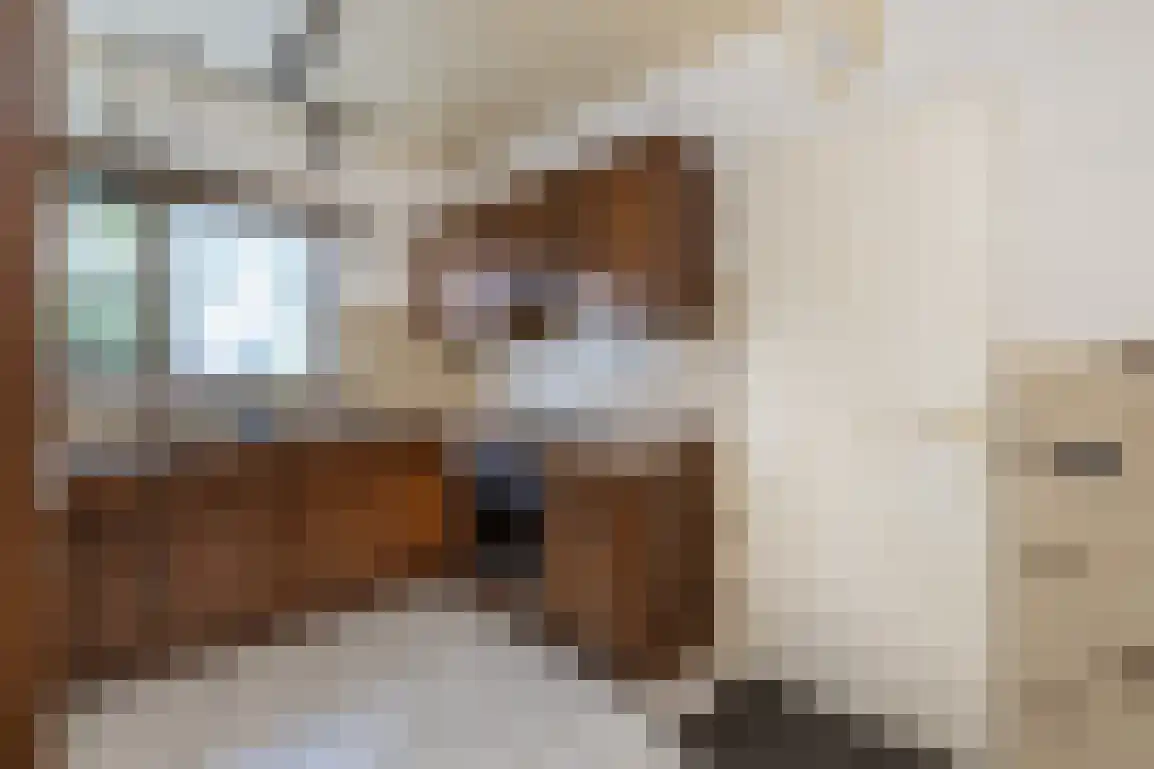 Molenlaan 16 Sommelsdijk thumbnail 18