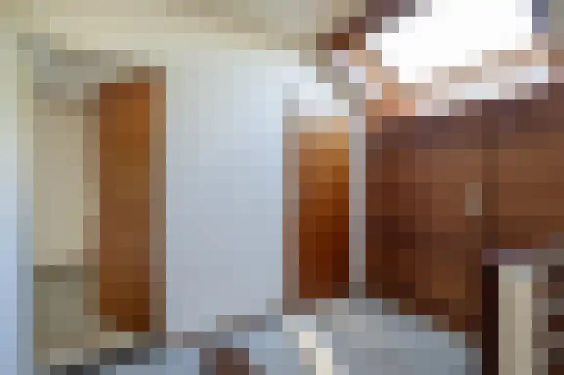 Molenlaan 16 Sommelsdijk thumbnail 21
