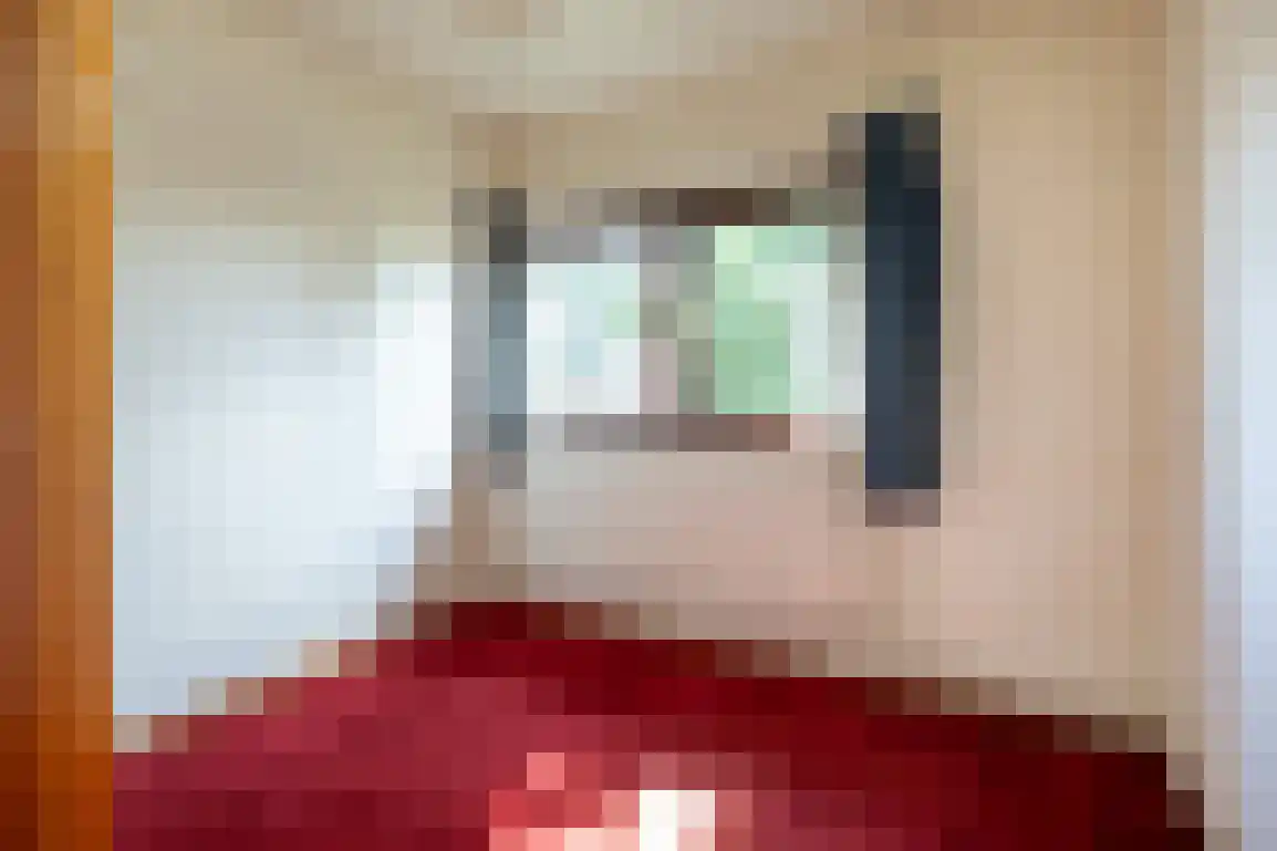 Molenlaan 16 Sommelsdijk thumbnail 22