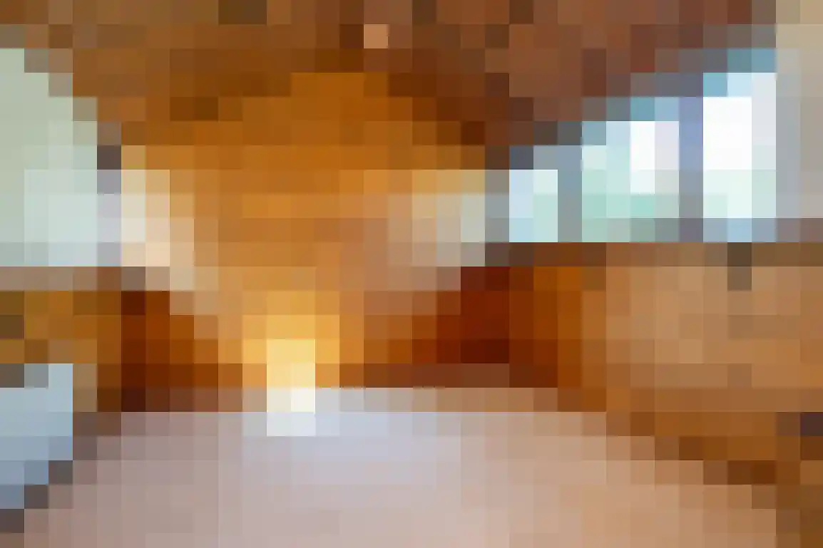 Molenlaan 16 Sommelsdijk thumbnail 25