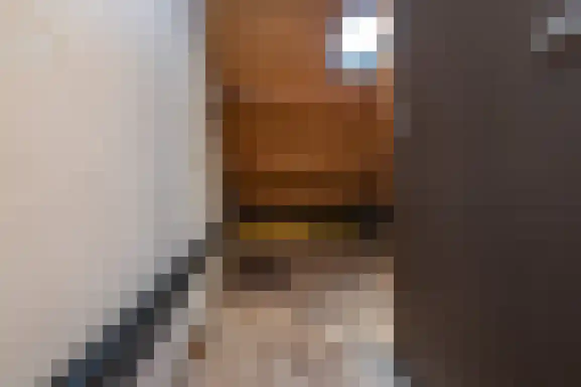 Molenlaan 16 Sommelsdijk thumbnail 30