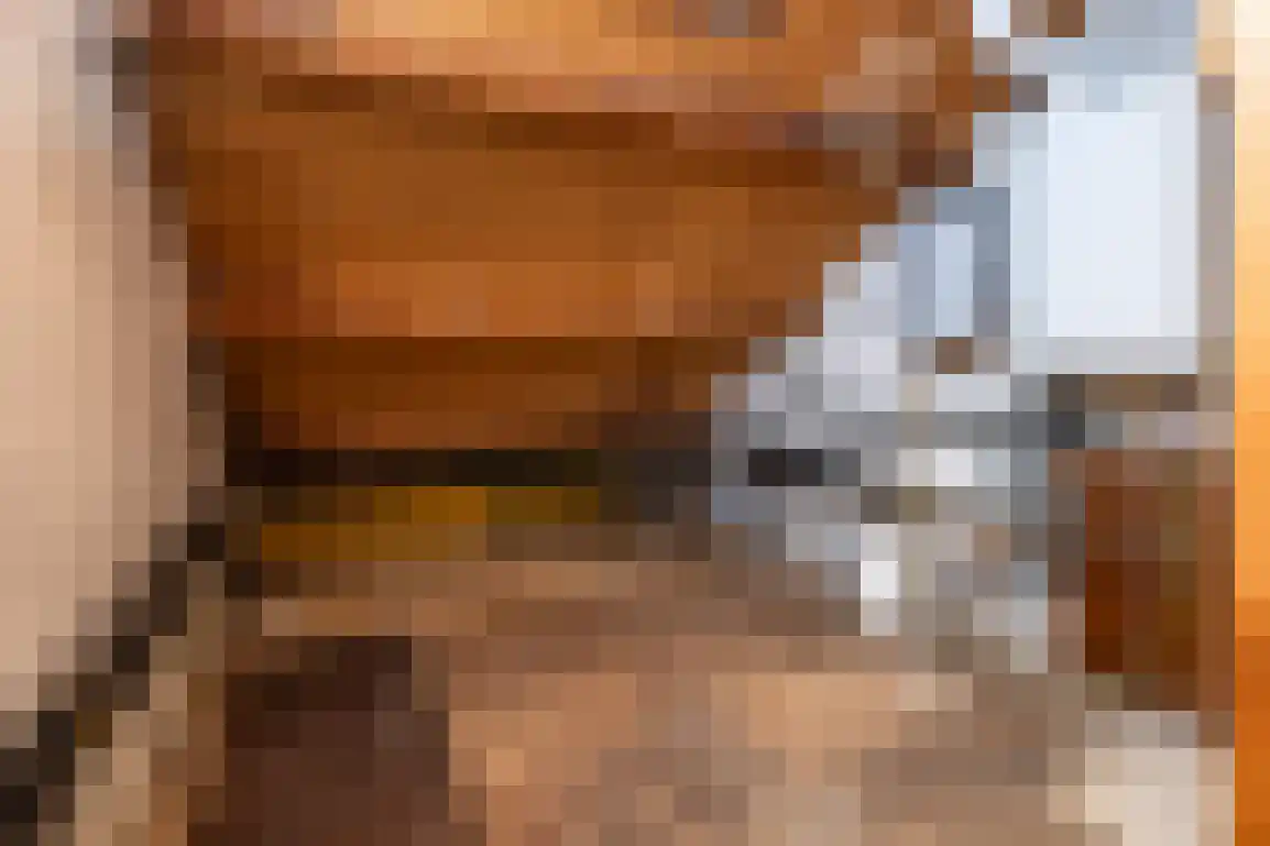 Molenlaan 16 Sommelsdijk thumbnail 31