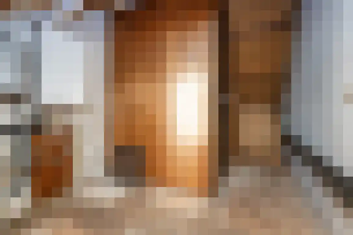 Molenlaan 16 Sommelsdijk thumbnail 32