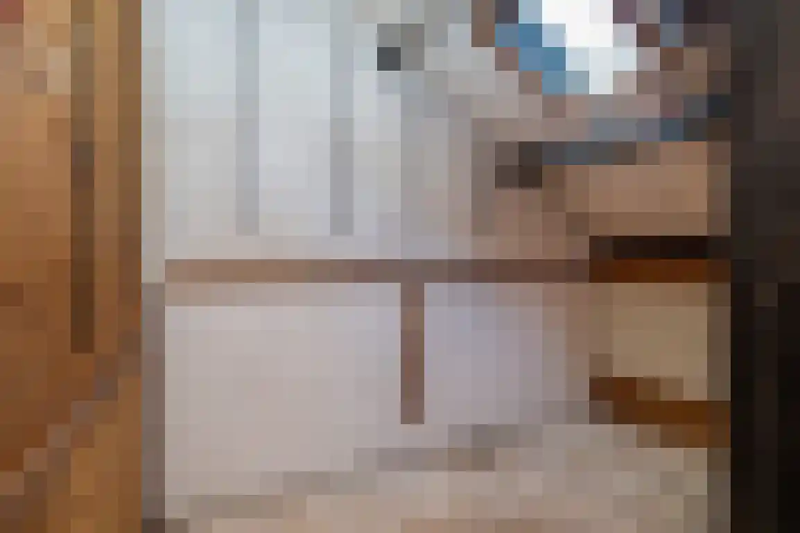 Molenlaan 16 Sommelsdijk thumbnail 33