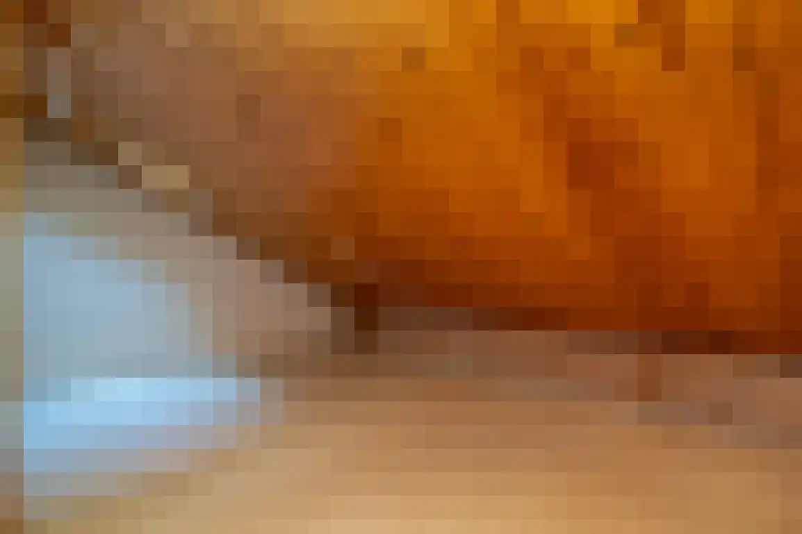 Molenlaan 16 Sommelsdijk thumbnail 34