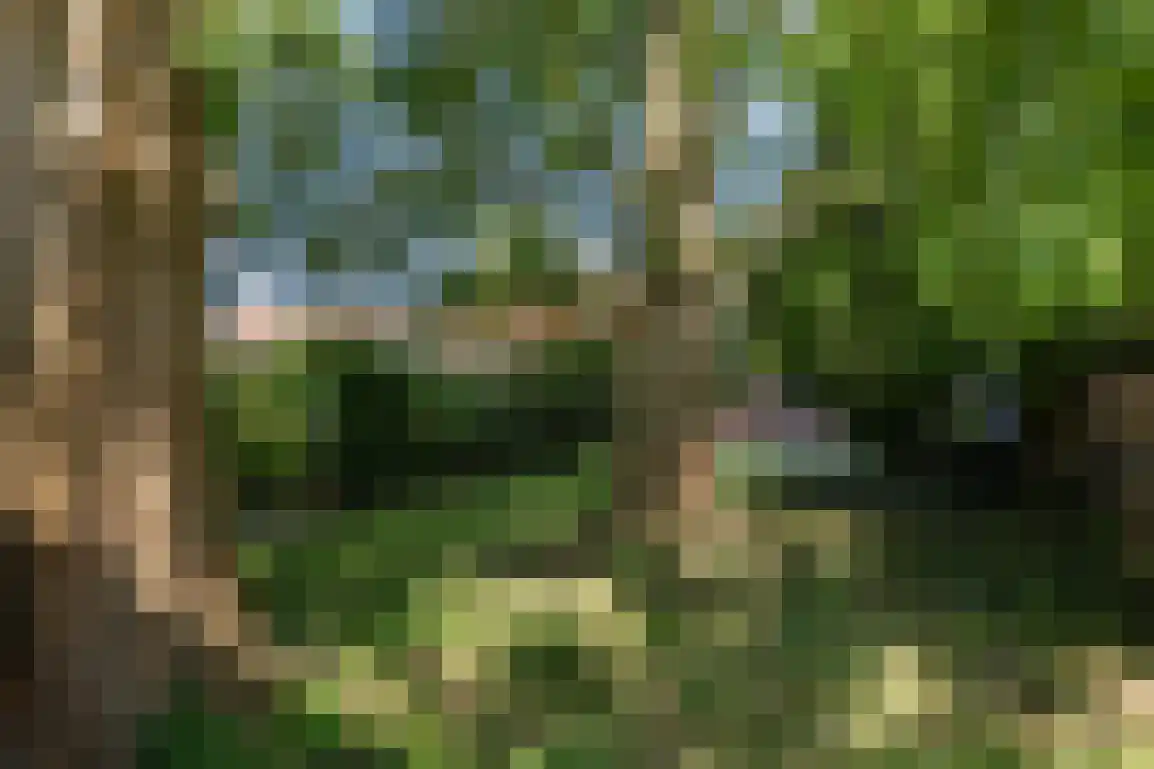 Molenlaan 16 Sommelsdijk thumbnail 36