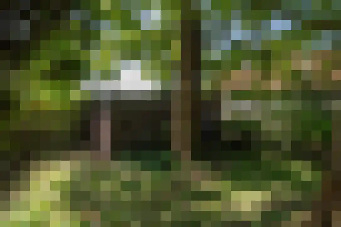 Molenlaan 16 Sommelsdijk thumbnail 37