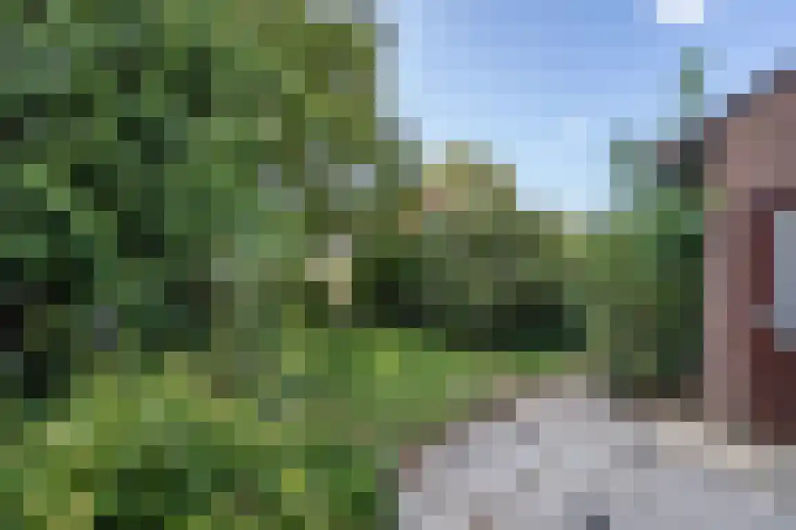 Molenlaan 16 Sommelsdijk thumbnail 38