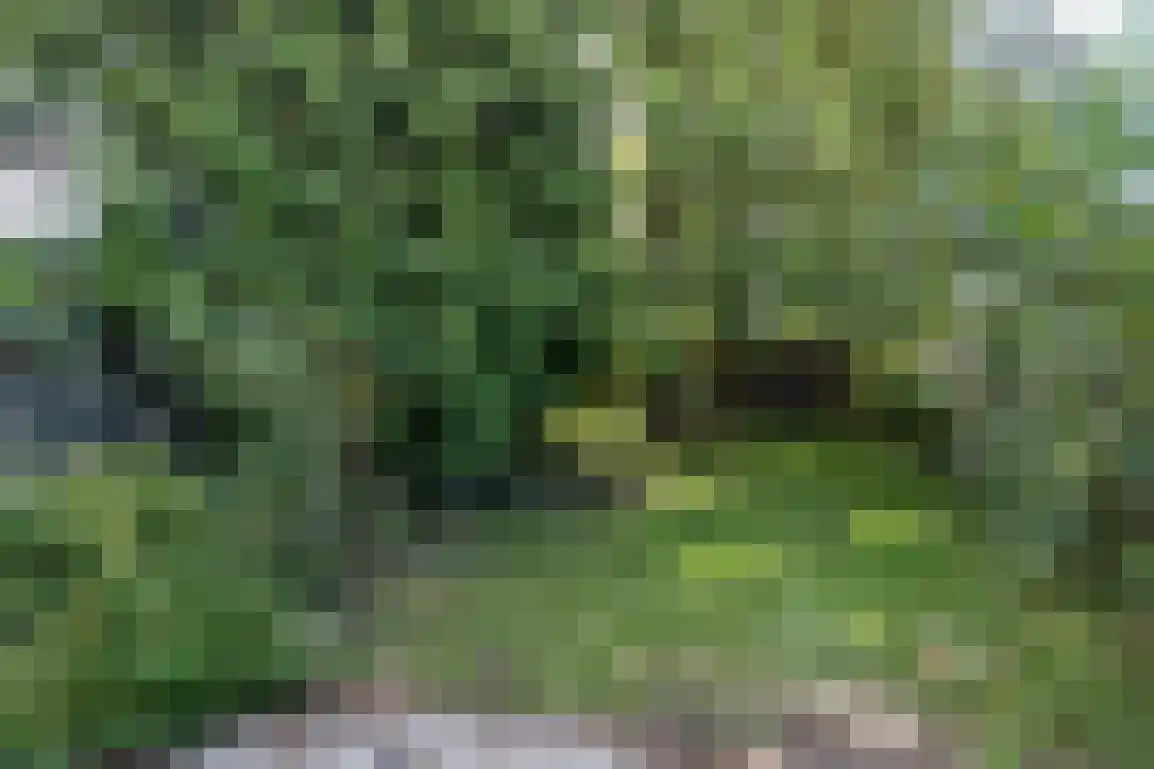 Molenlaan 16 Sommelsdijk thumbnail 39
