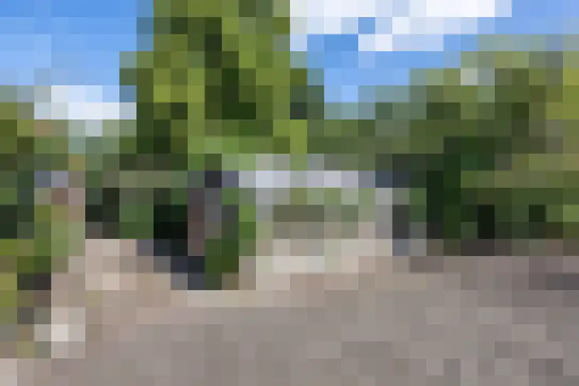 Molenlaan 16 Sommelsdijk thumbnail 40