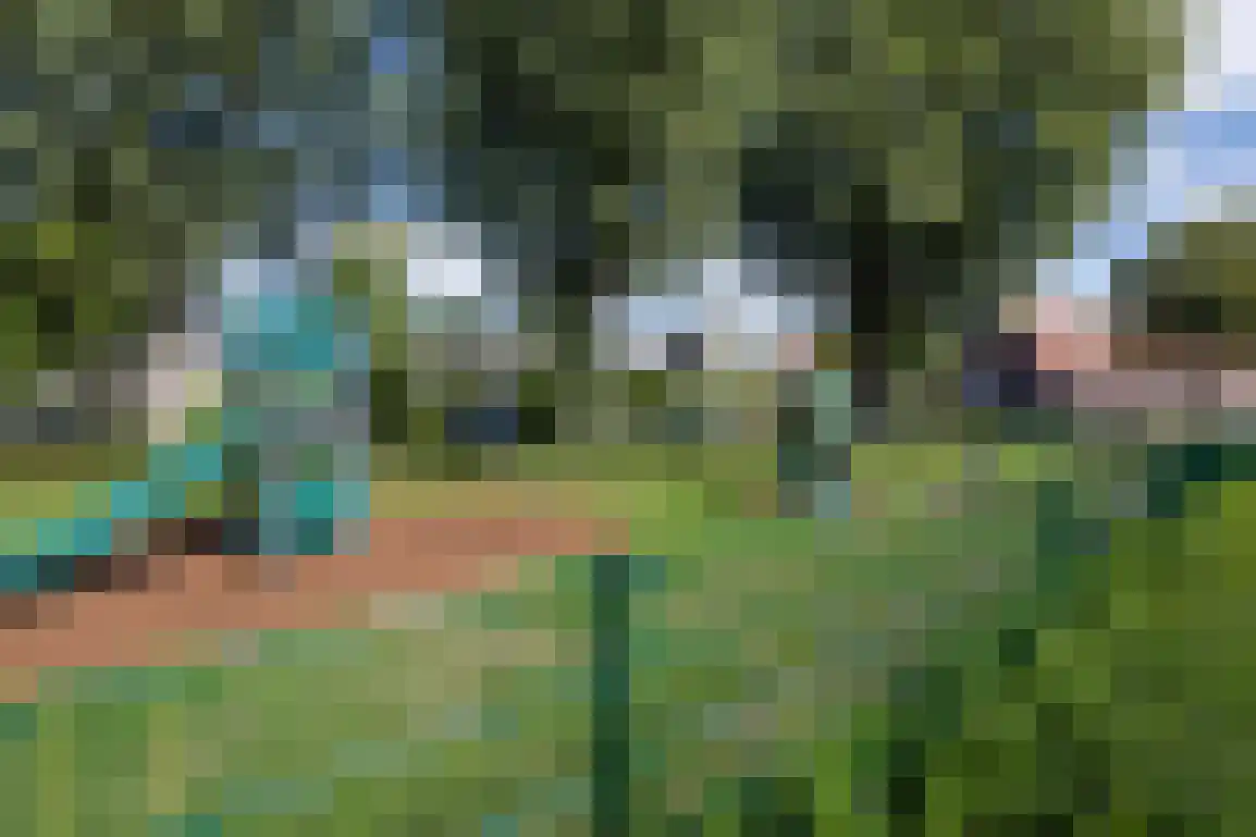 Molenlaan 16 Sommelsdijk thumbnail 42