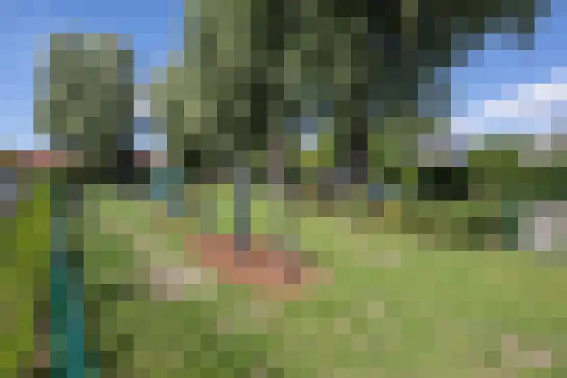 Molenlaan 16 Sommelsdijk thumbnail 43