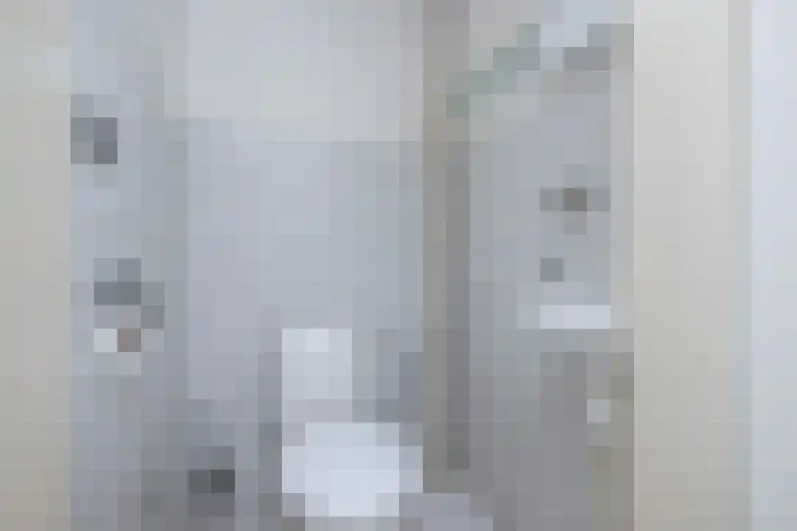 Molenlaan 16 Sommelsdijk thumbnail 7