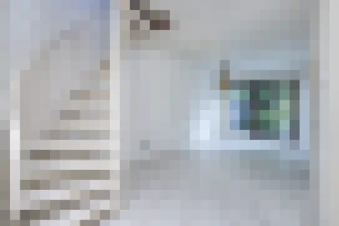 Molenlaan 16 Sommelsdijk thumbnail 8