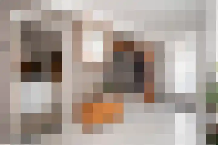 Molenlaan 18 Susteren thumbnail 10