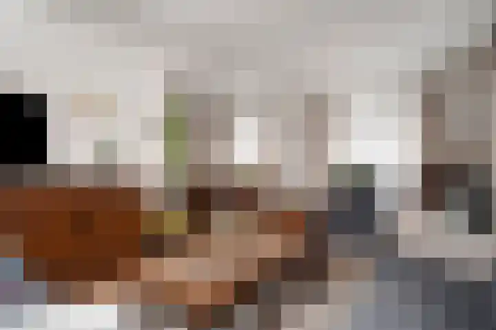 Molenlaan 18 Susteren thumbnail 22