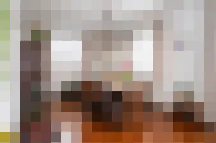 Molenlaan 18 Susteren thumbnail 23