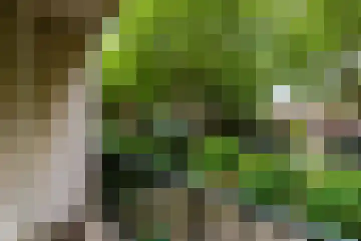 Molenlaan 187 Rotterdam thumbnail 33