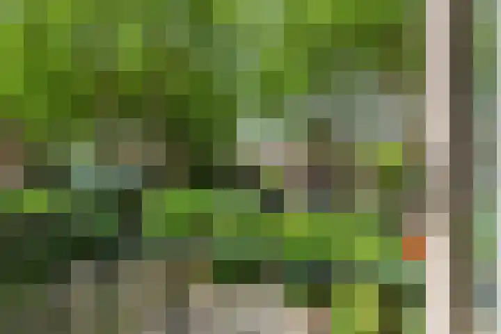 Molenlaan 187 Rotterdam thumbnail 34