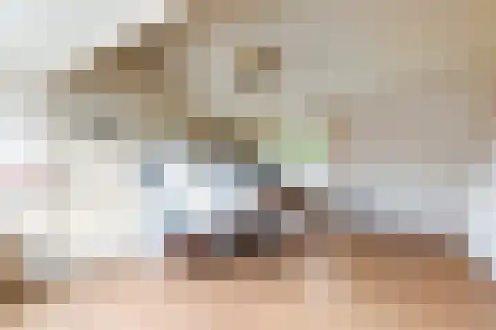 Molenlaan 187 Rotterdam thumbnail 38