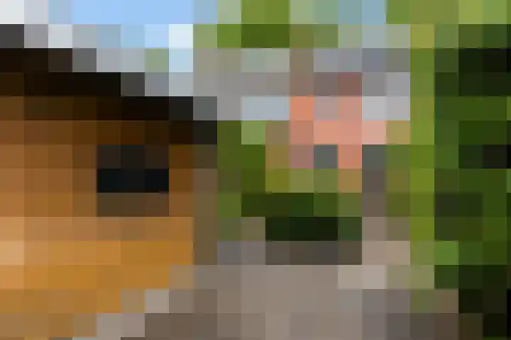 Molenlaan 187 Rotterdam thumbnail 41