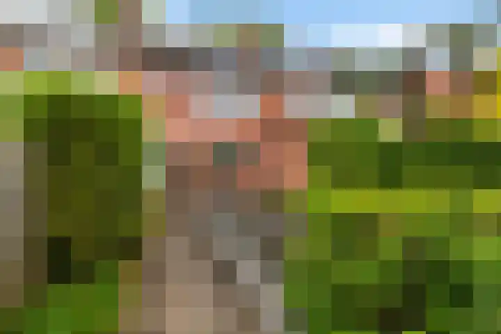 Molenlaan 187 Rotterdam thumbnail 42