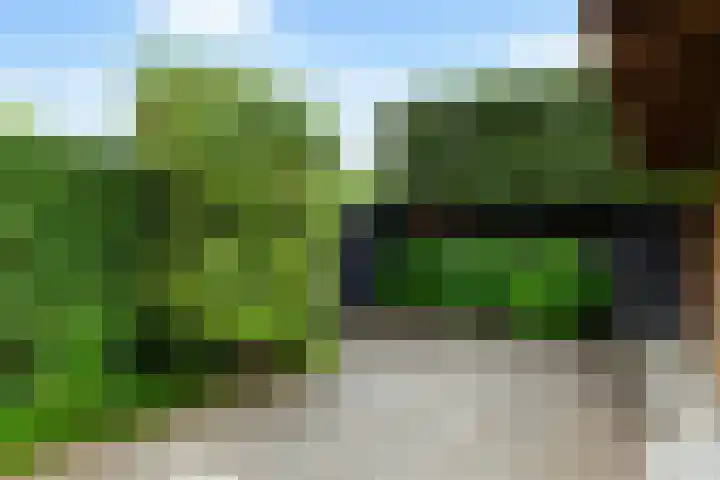 Molenlaan 187 Rotterdam thumbnail 44