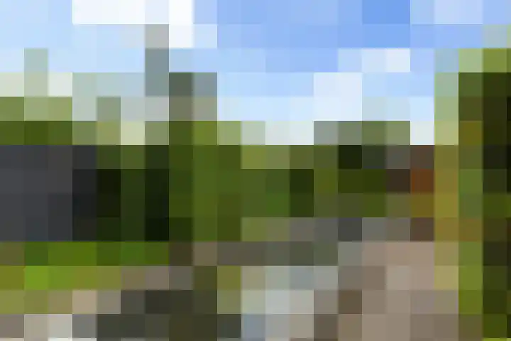 Molenlaan 187 Rotterdam thumbnail 45