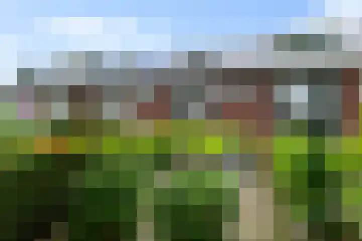 Molenlaan 187 Rotterdam thumbnail 49