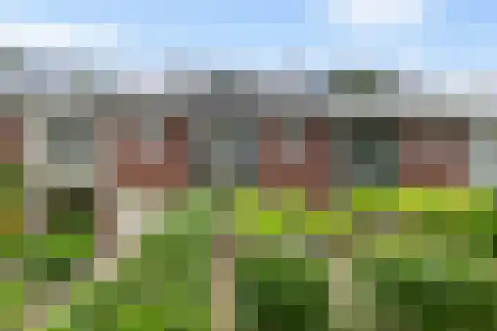 Molenlaan 187 Rotterdam thumbnail 50