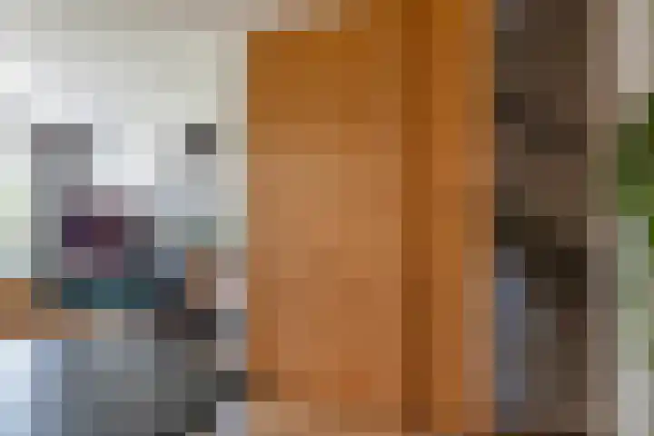 Molenlaan 2 Mildam thumbnail 10