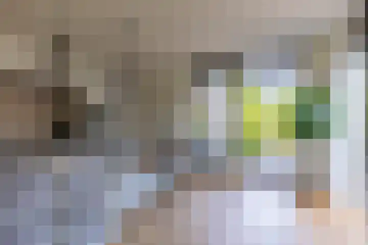 Molenlaan 2 Mildam thumbnail 16