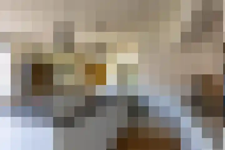 Molenlaan 2 Mildam thumbnail 17
