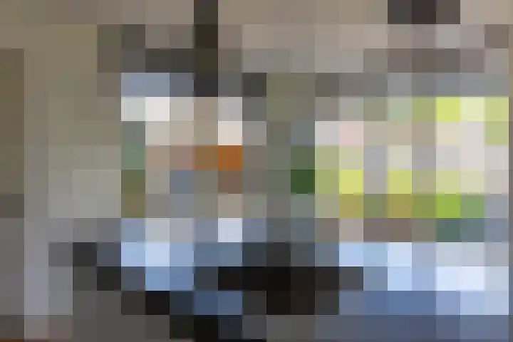 Molenlaan 2 Mildam thumbnail 18